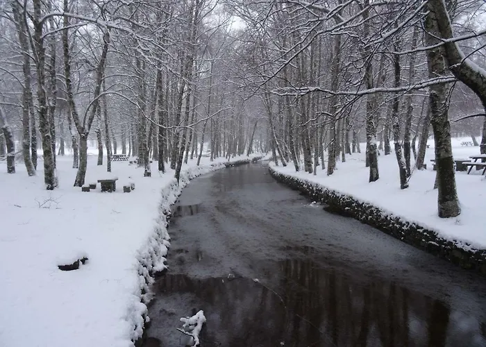 Casa De Appartement *